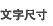 文字尺寸