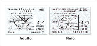 Billete combinado para Tokio