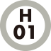 H01