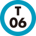 T06