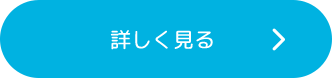 詳しく見る