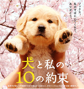 犬と私の10の約束