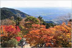 大山地区の紅葉