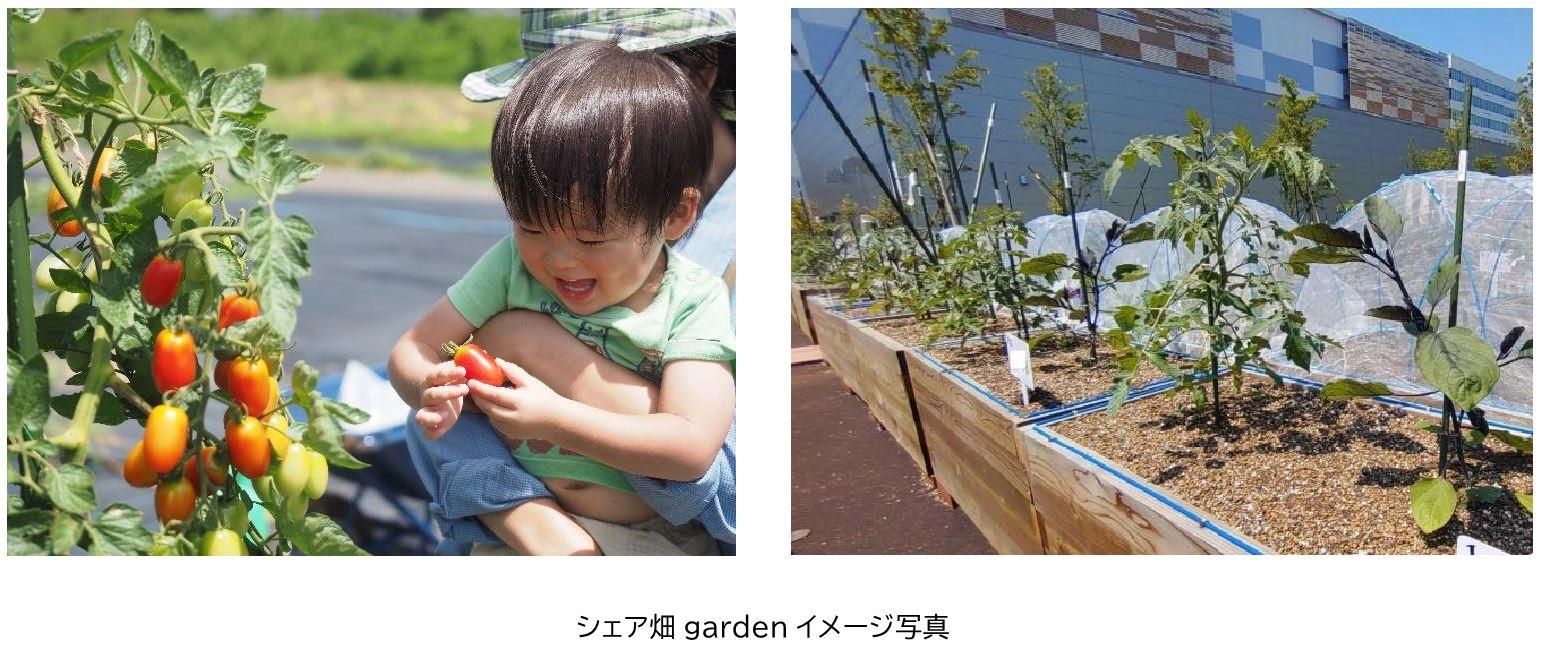 東京メトロ：サポート付き貸し農園「シェア畑garden 北千住」を開設（２０２3年6月上旬にオープン）