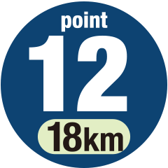 point12(18km)