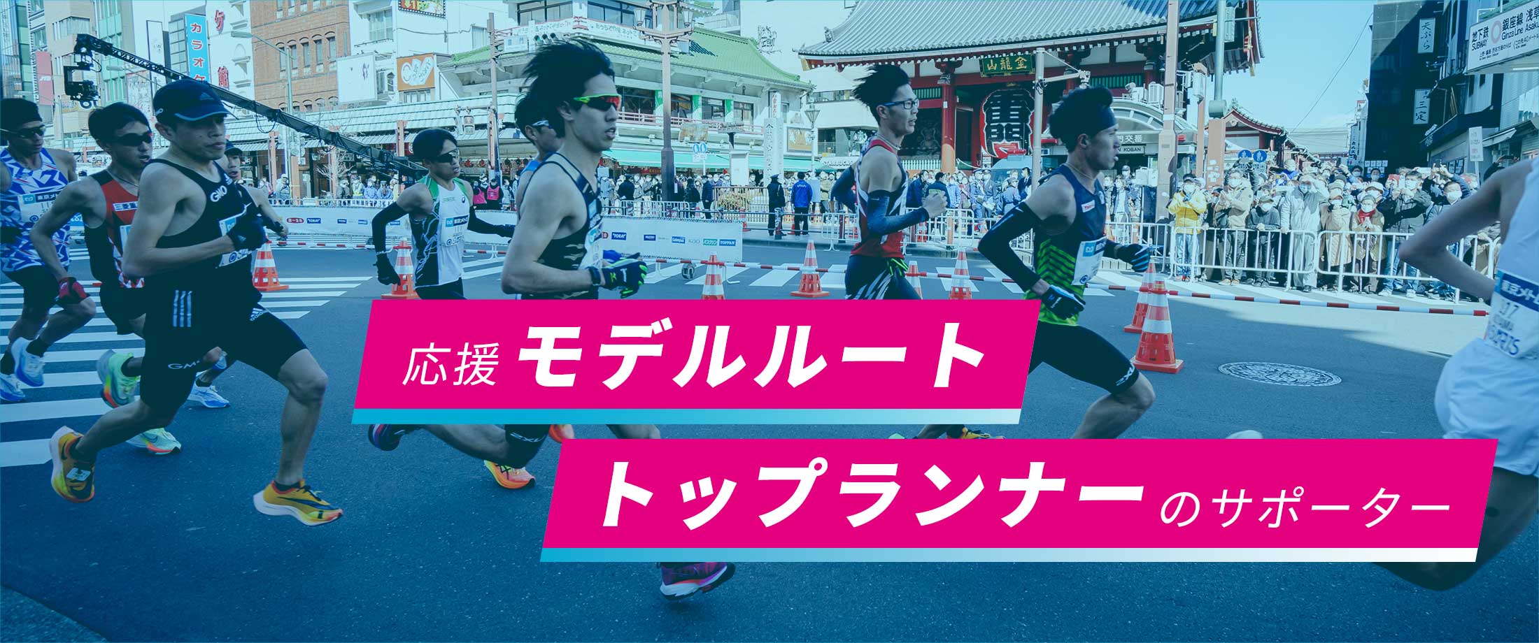 応援モデルルート トップランナーのサポーター